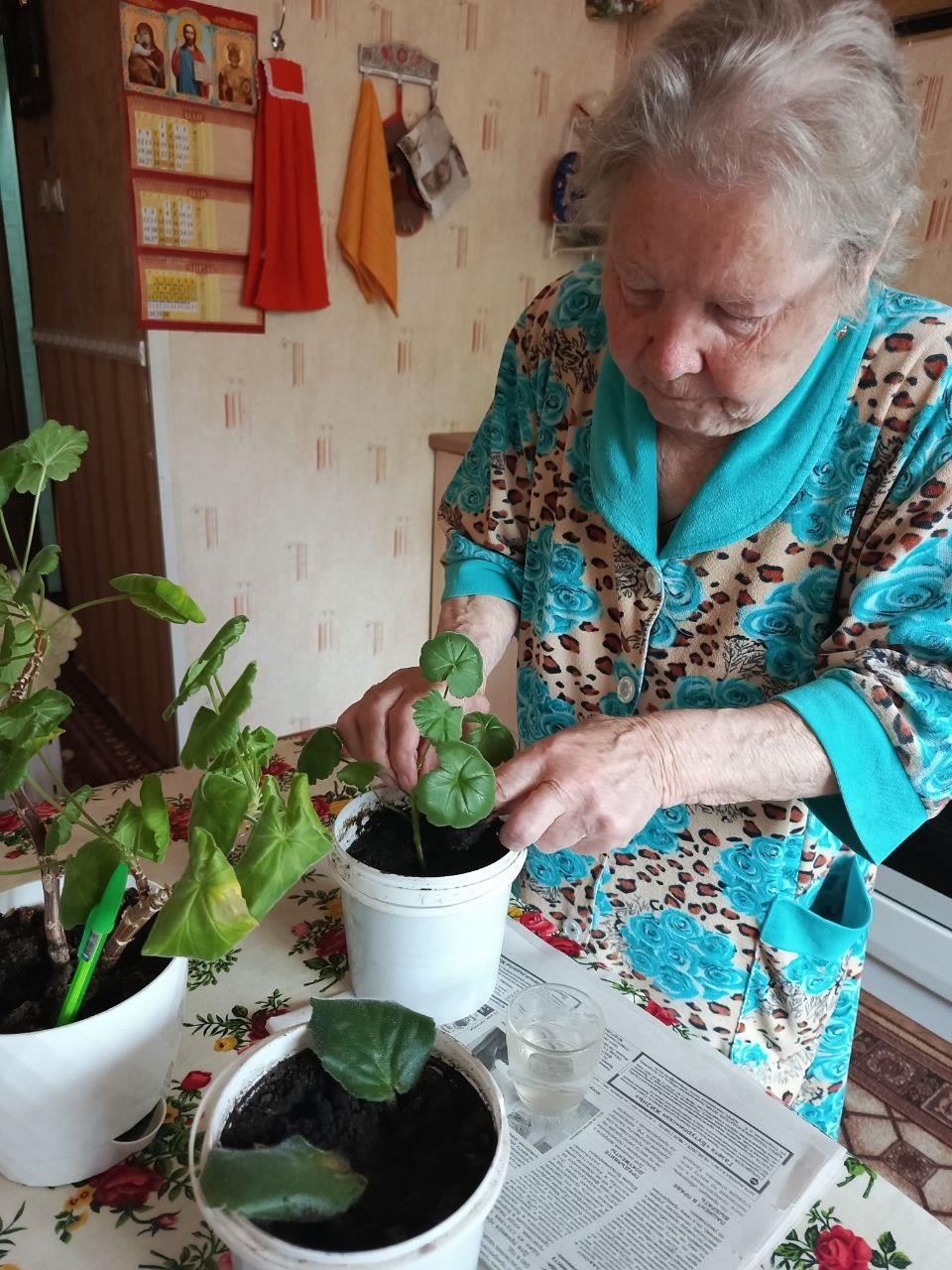 Гарденотерапия с получателем социальных услуг