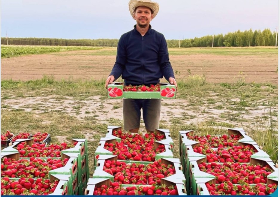 Поддержка развития бизнеса