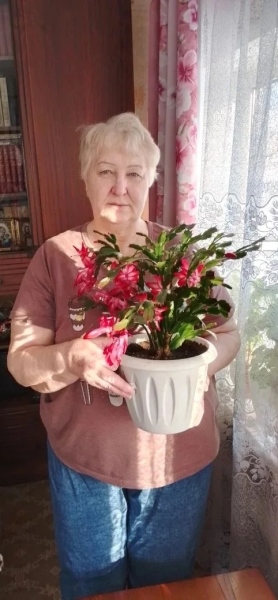 Декабрист — маленькое чудо на зимнем подоконнике