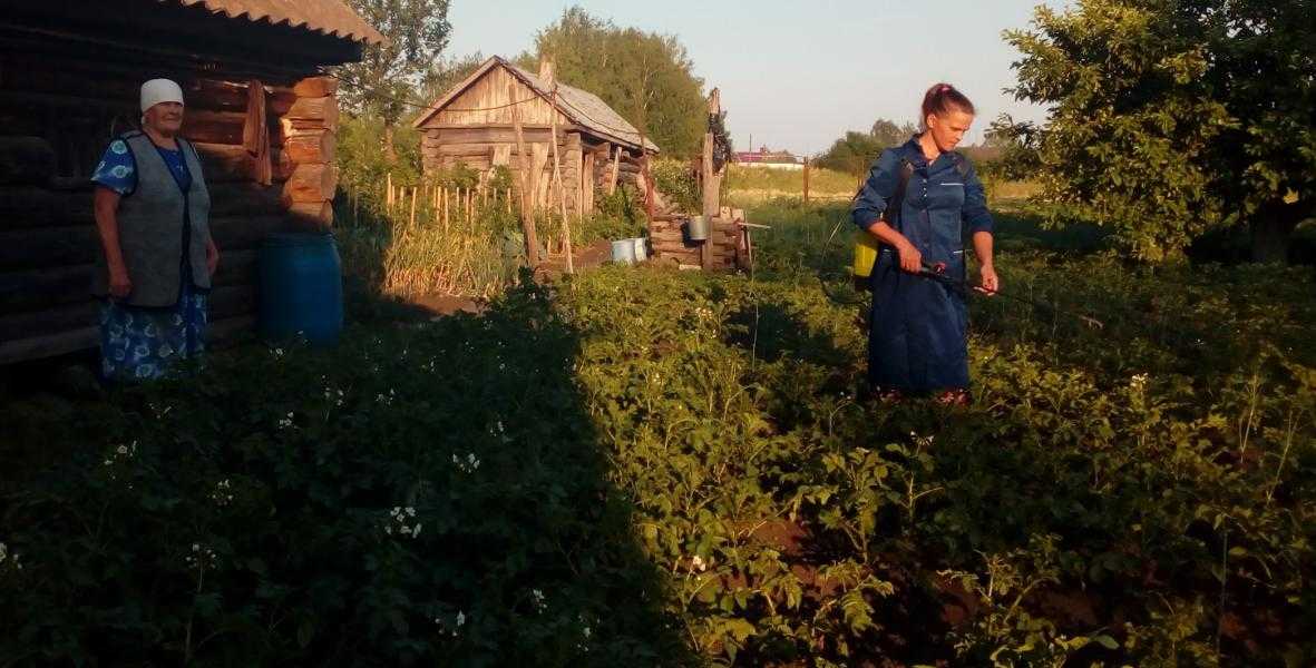 Не забываем и про огород!