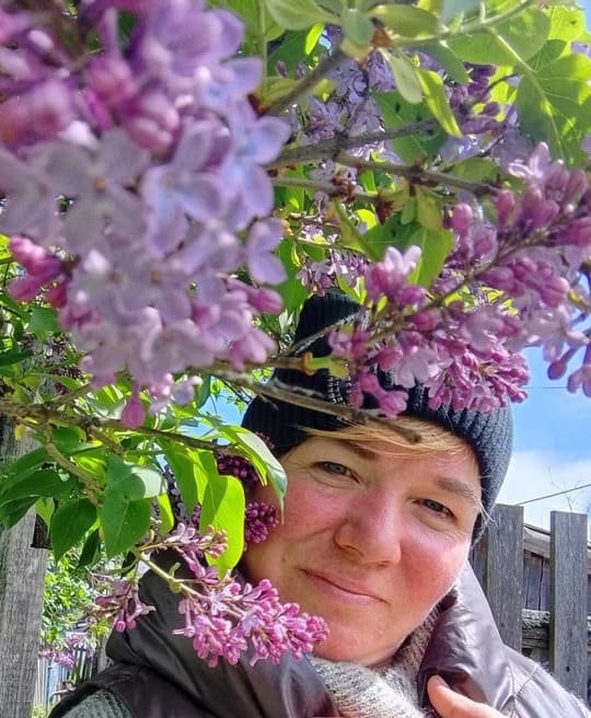 Нежная и ароматная, пышно цветущая сирень .